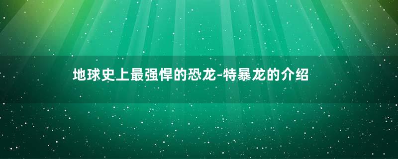 地球史上最强悍的恐龙-特暴龙的介绍