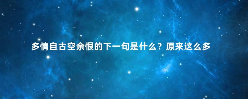 多情自古空余恨的下一句是什么？原来这么多年被电视剧带偏了！