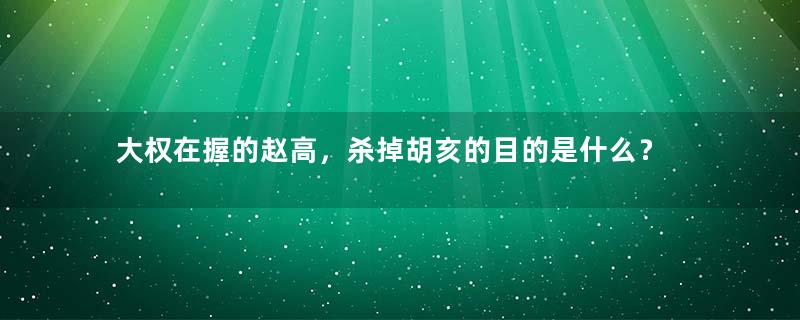 大权在握的赵高，杀掉胡亥的目的是什么？