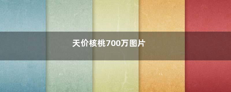 天价核桃700万图片