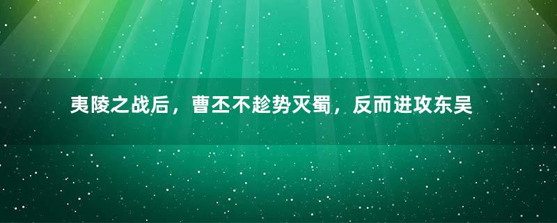 夷陵之战后，曹丕不趁势灭蜀，反而进攻东吴的原因是什么？