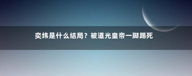 奕纬是什么结局？被道光皇帝一脚踢死