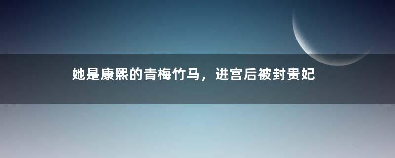 她是康熙的青梅竹马，进宫后被封贵妃