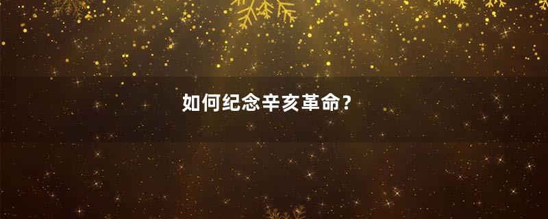如何纪念辛亥革命？
