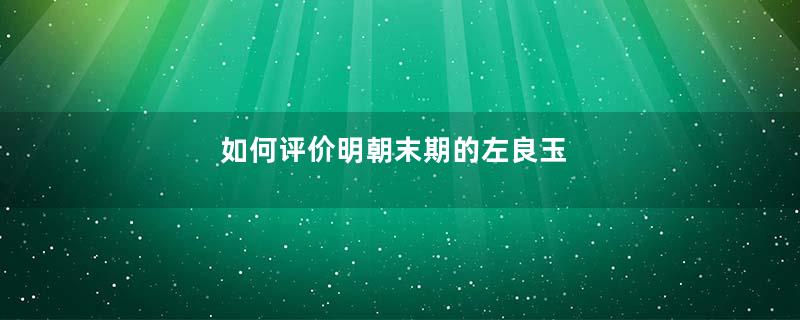 如何评价明朝末期的左良玉