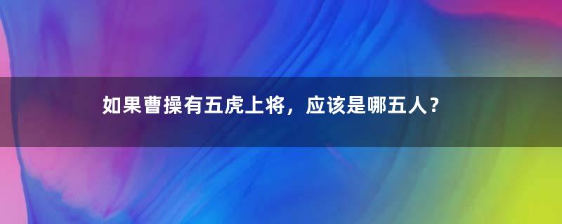 如果曹操有五虎上将，应该是哪五人？