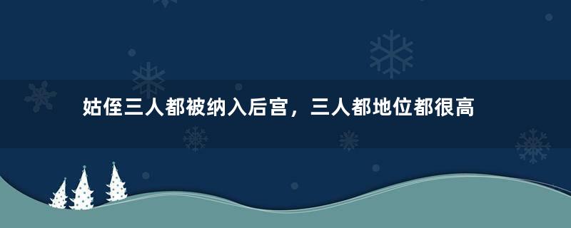 姑侄三人都被纳入后宫，三人都地位都很高