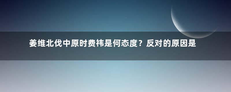 姜维北伐中原时费祎是何态度？反对的原因是什么？