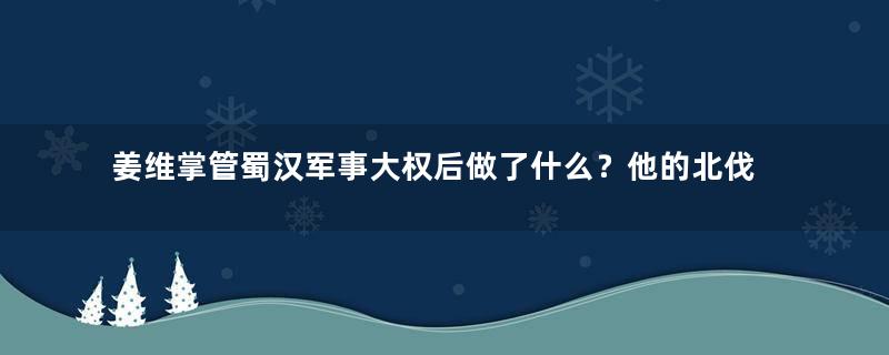 姜维掌管蜀汉军事大权后做了什么？他的北伐是如何进行的？