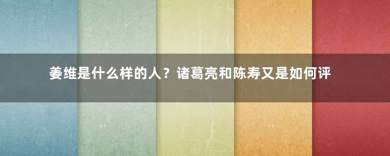 姜维是什么样的人？诸葛亮和陈寿又是如何评价他的？