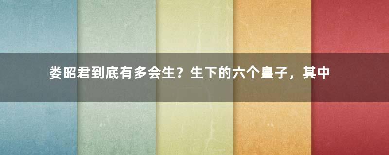 娄昭君到底有多会生？生下的六个皇子，其中四个都做了皇帝