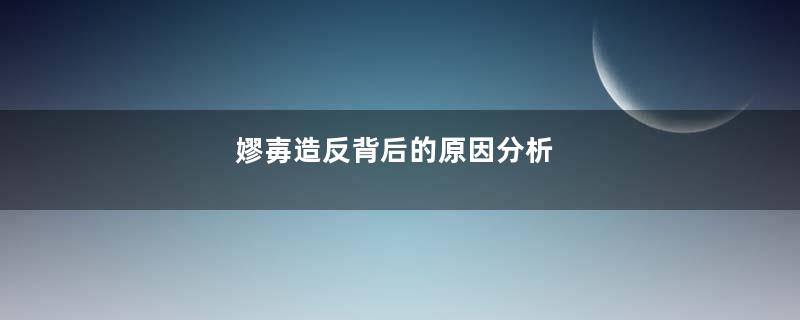 嫪毐造反背后的原因分析