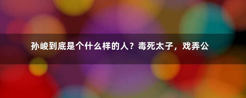 孙峻到底是个什么样的人？毒死太子，戏弄公主，死后被人改姓！