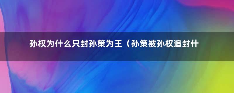 孙权为什么只封孙策为王（孙策被孙权追封什么）