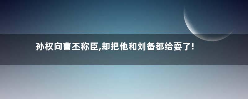 孙权向曹丕称臣,却把他和刘备都给耍了!