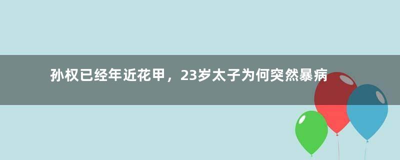 孙权已经年近花甲，23岁太子为何突然暴病而亡？