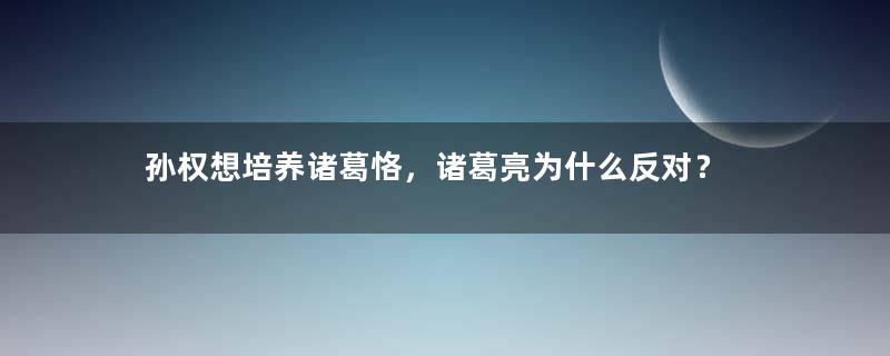 孙权想培养诸葛恪，诸葛亮为什么反对？