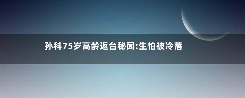 孙科75岁高龄返台秘闻:生怕被冷落