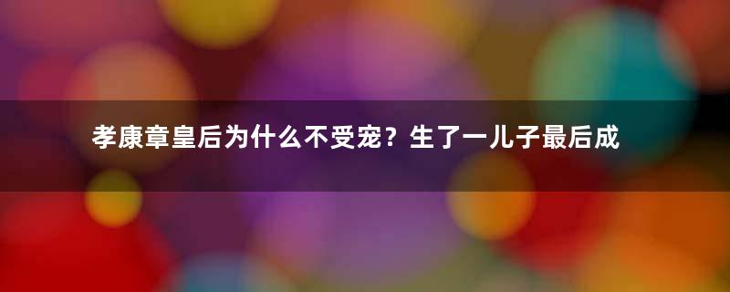孝康章皇后为什么不受宠？生了一儿子最后成为千古一帝