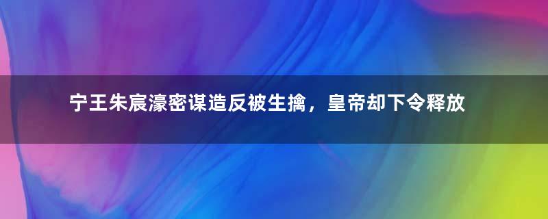 宁王朱宸濠密谋造反被生擒，皇帝却下令释放