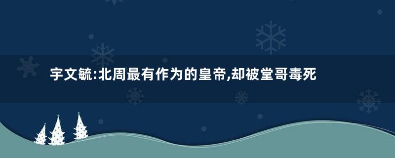 宇文毓:北周最有作为的皇帝,却被堂哥毒死
