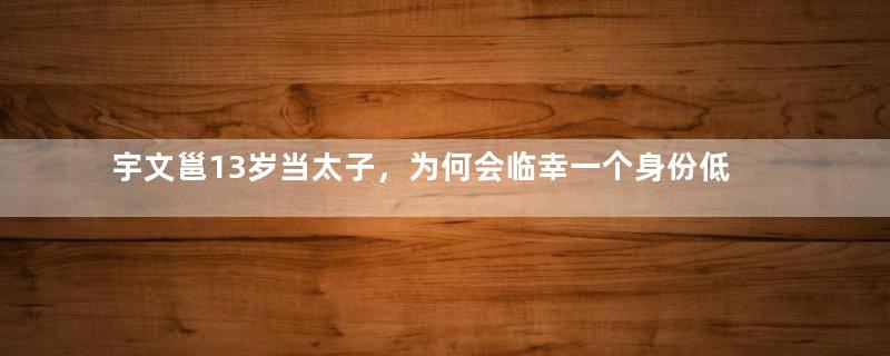 宇文邕13岁当太子，为何会临幸一个身份低微的女奴？