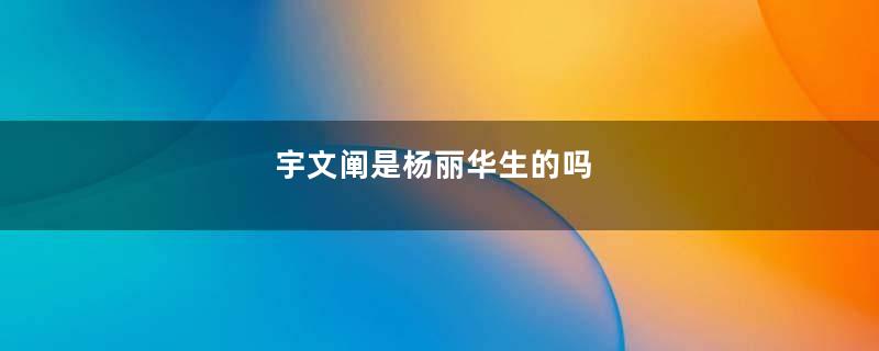 宇文阐是杨丽华生的吗