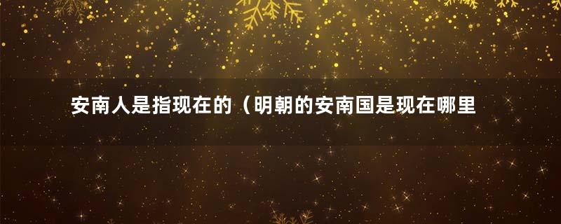 安南人是指现在的（明朝的安南国是现在哪里）