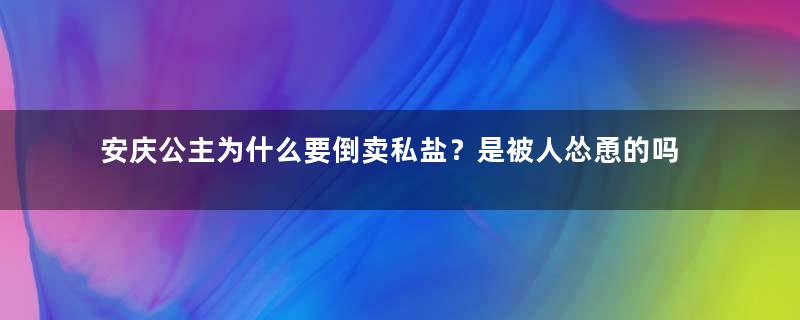 安庆公主为什么要倒卖私盐？是被人怂恿的吗
