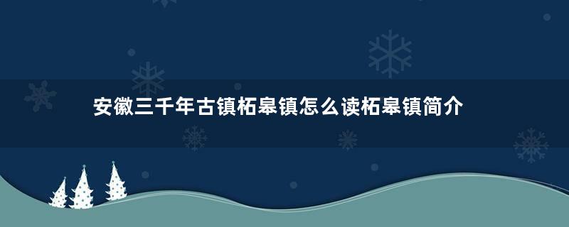 安徽三千年古镇柘皋镇怎么读柘皋镇简介