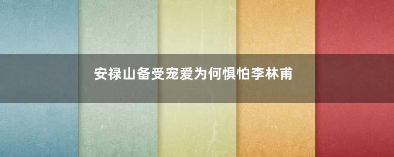 安禄山备受宠爱为何惧怕李林甫