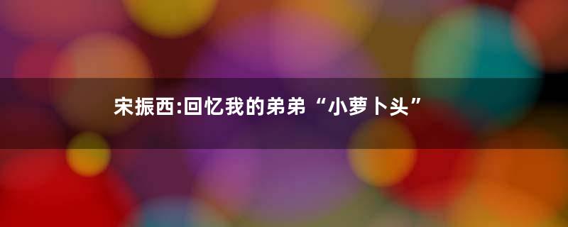 宋振西:回忆我的弟弟“小萝卜头”
