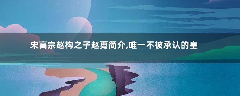 宋高宗赵构之子赵旉简介,唯一不被承认的皇帝