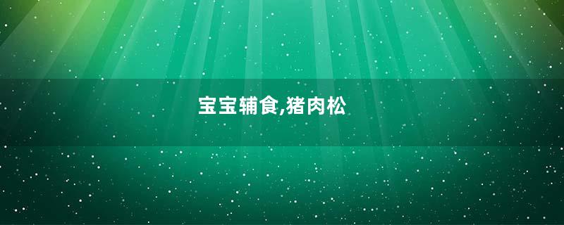 宝宝辅食,猪肉松