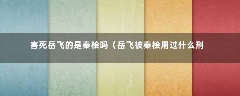 害死岳飞的是秦桧吗（岳飞被秦桧用过什么刑具）