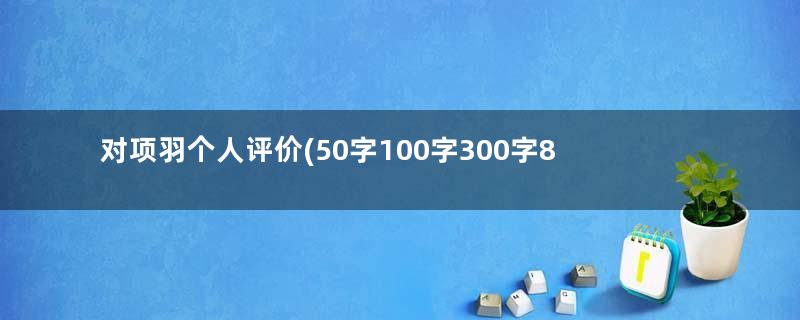 对项羽个人评价(50字100字300字800字1000字1500字）