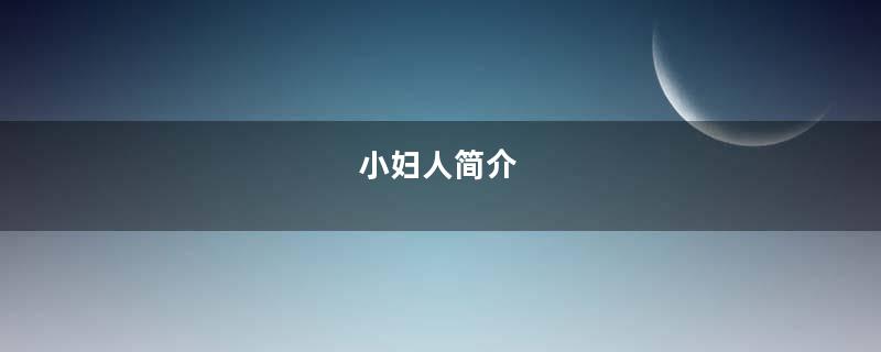 小妇人简介