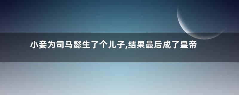 小妾为司马懿生了个儿子,结果最后成了皇帝