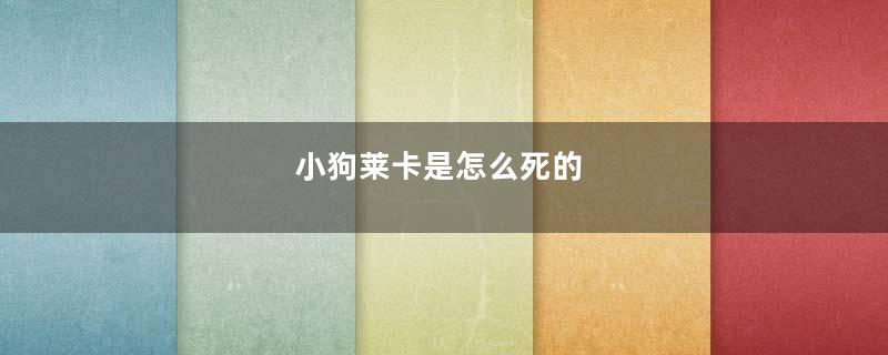 小狗莱卡是怎么死的