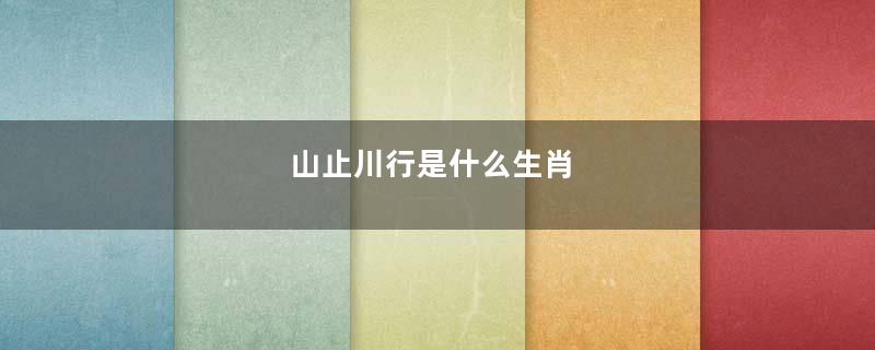 山止川行是什么生肖