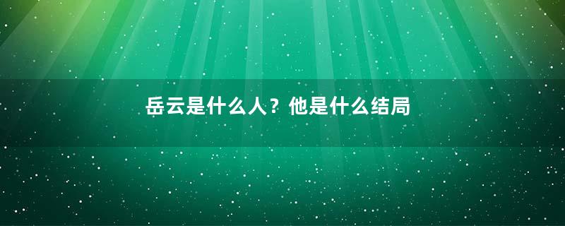 岳云是什么人？他是什么结局