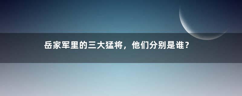 岳家军里的三大猛将，他们分别是谁？