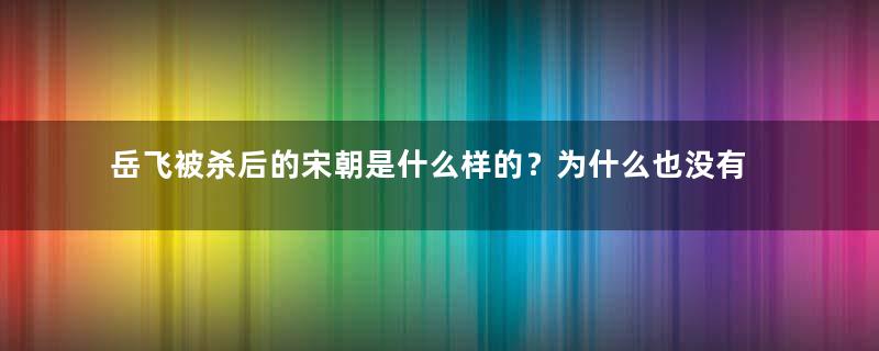 岳飞被杀后的宋朝是什么样的？为什么也没有遭受灭国之灾？