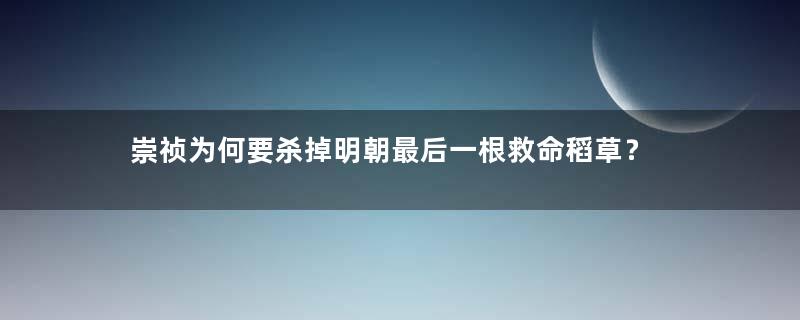 崇祯为何要杀掉明朝最后一根救命稻草？