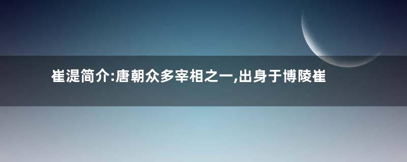 崔湜简介:唐朝众多宰相之一,出身于博陵崔氏安平房