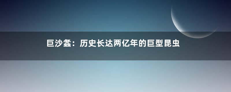 巨沙螽：历史长达两亿年的巨型昆虫