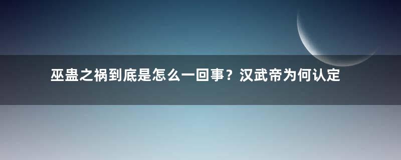 巫蛊之祸到底是怎么一回事？汉武帝为何认定太子篡位？