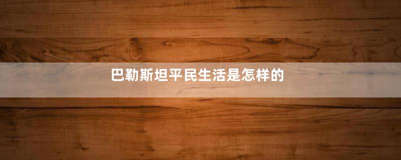 巴勒斯坦平民生活是怎样的