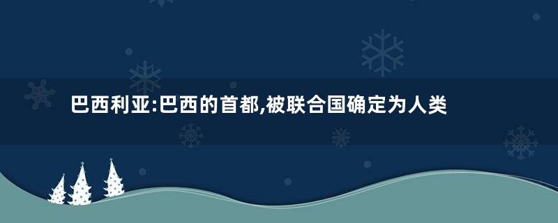 巴西利亚:巴西的首都,被联合国确定为人类文化遗产