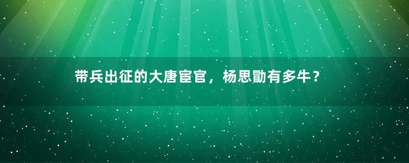 带兵出征的大唐宦官，杨思勖有多牛？